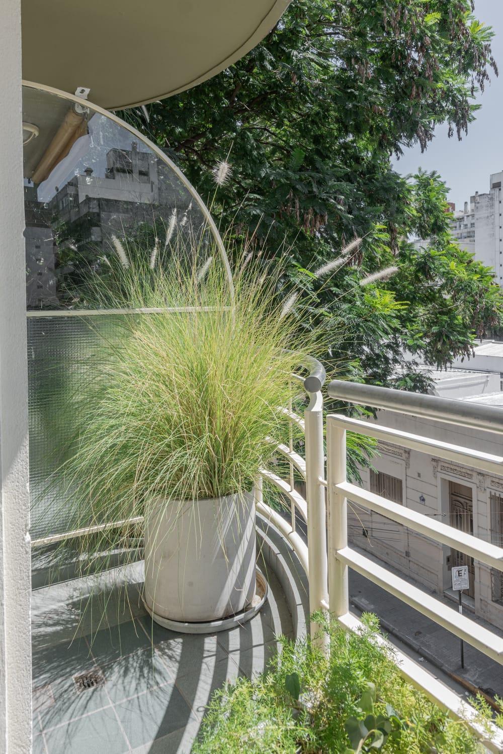 Dorrego Premium Rosario